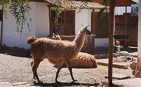 Cabañas, Voyage Atacama