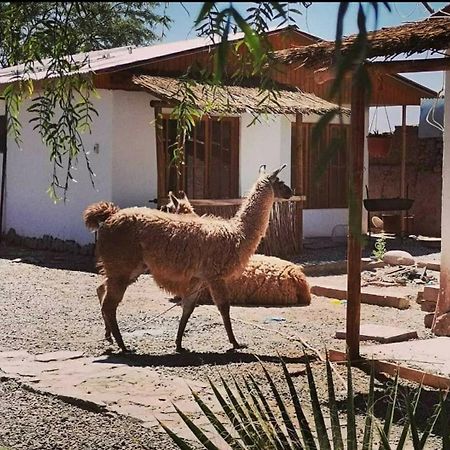 Cabañas, Voyage Atacama San Pedro De Atacama Extérieur photo
