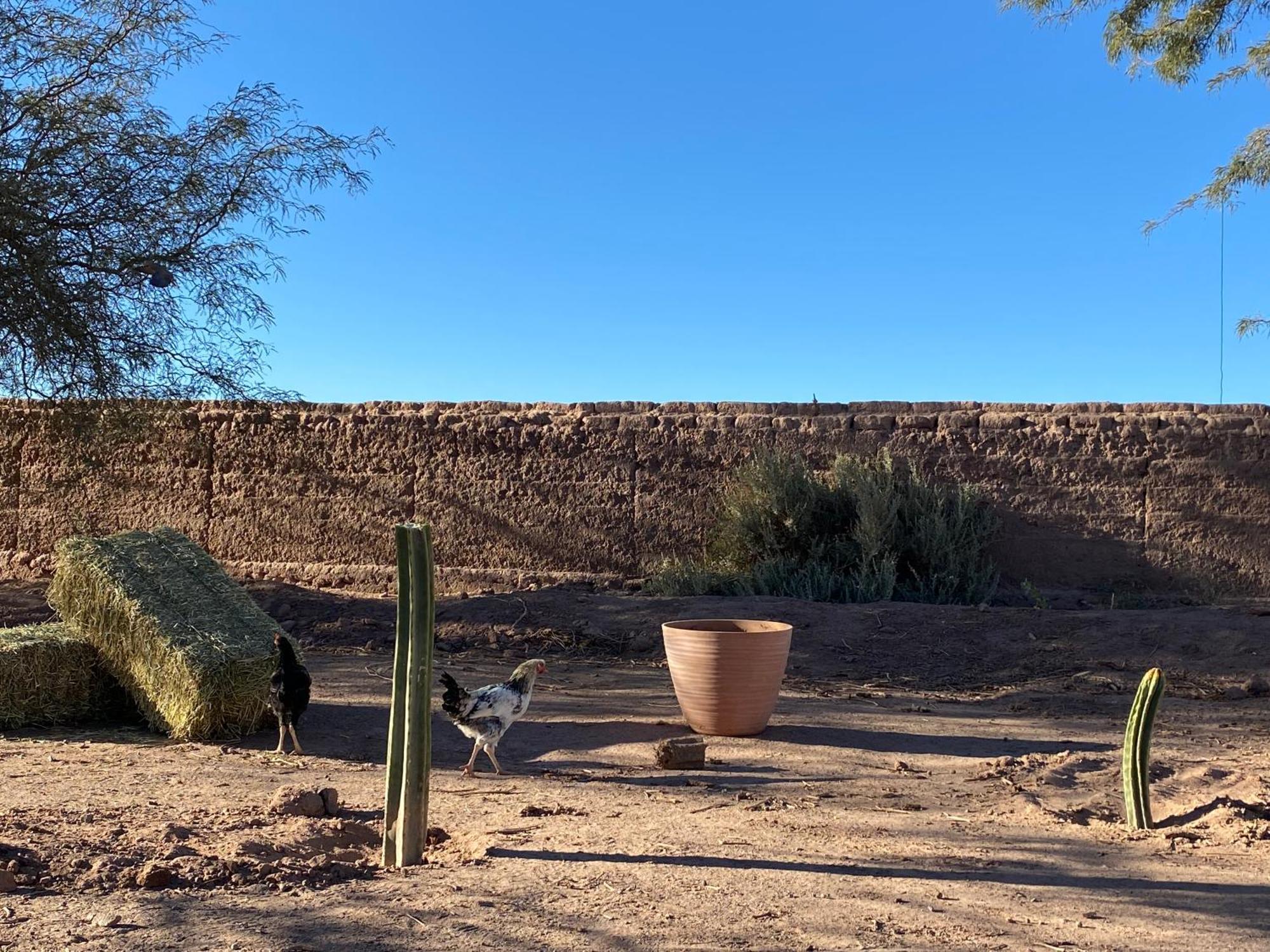 Cabañas, Voyage Atacama San Pedro De Atacama Extérieur photo